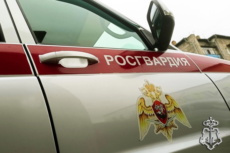 Подозреваемого в краже денег из чужого кошелька задержали сотрудники Росгвардии в Абакане
