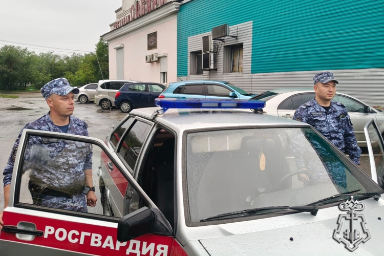 Подозреваемого в повреждении чужого автомобиля и краже задержали сотрудники Росгвардии в Черногорске