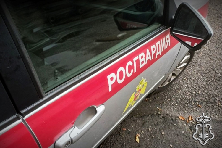 Сотрудники вневедомственной охраны Росгвардии задержали в Черногорске подозреваемого в повреждении чужого имущества