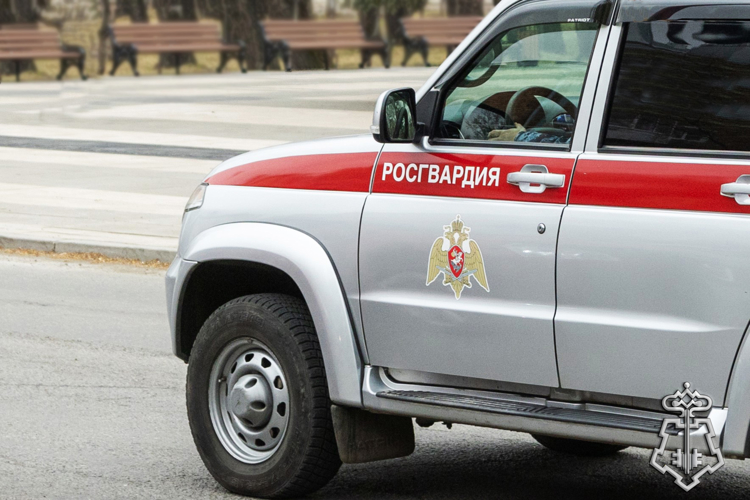 Росгвардейцы задержали в Абакане подозреваемого в умышленном повреждении имущества