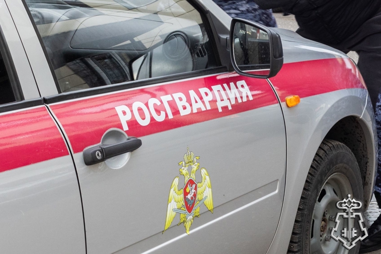 Подозреваемых в краже и умышленном причинении вреда здоровью задержали росгвардейцы в Черногорске