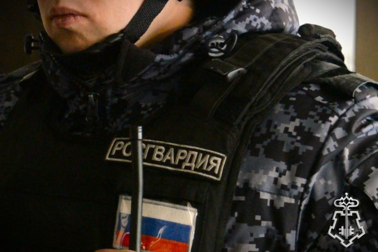 Подозреваемую в серии краж задержали росгвардейцы в Абакане 