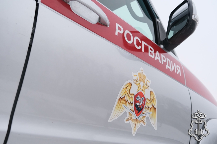 Сотрудники вневедомственной охраны Росгвардии задержали в Абакане подозреваемого в краже из торгового центра