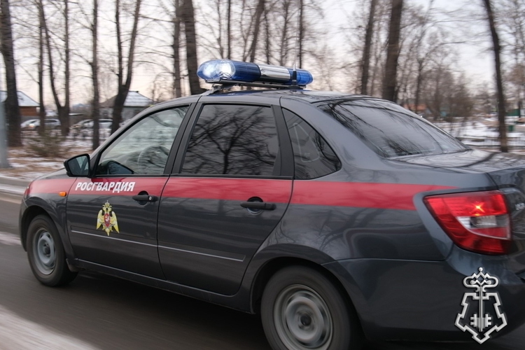 Росгвардейцы задержали подозреваемую в двойной краже жительницу Абакана
