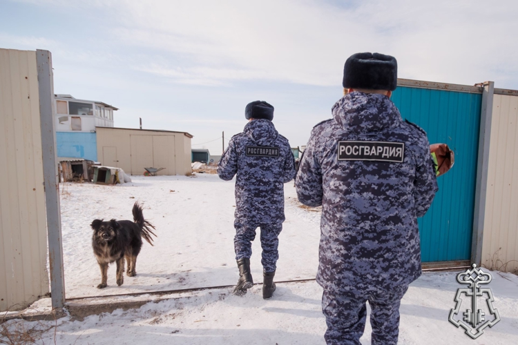 Сотрудники вневедомственной охраны Росгвардии пополнили запас корма в приюте для животных в Хакасии