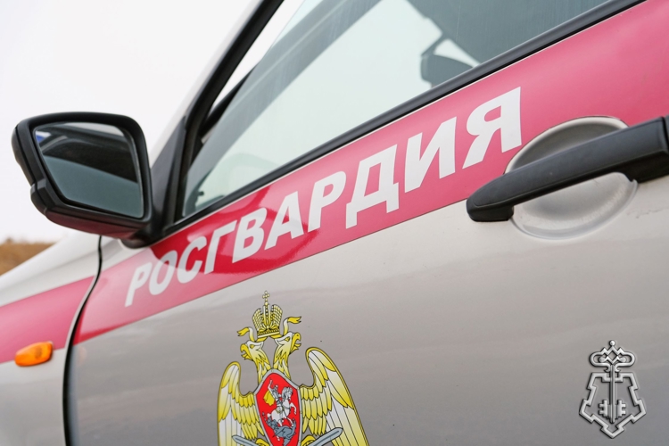 Росгвардейцы задержали в Абакане находившегося в федеральном розыске гражданина