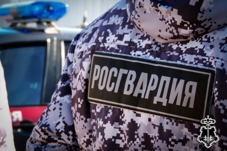 Росгвардейцы пресекли ряд магазинных краж в Абакане