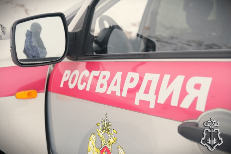 Росгвардейцы задержали в Черногорске подозреваемую в краже продуктов