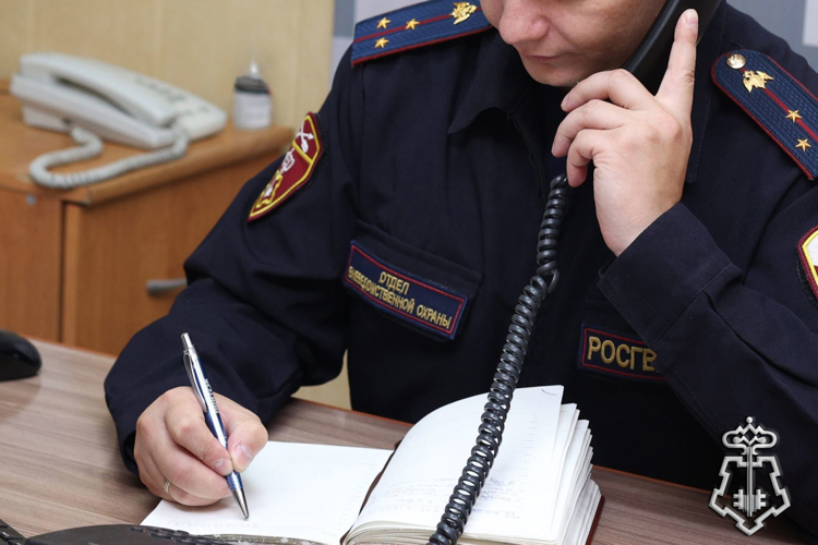 Более десяти кандидатов обратились на прямую телефонную линию по вопросам поступления на службу в Росгвардию 